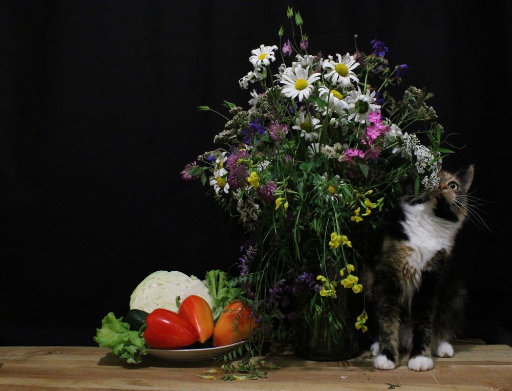 Photograph by Ирина Чечкина