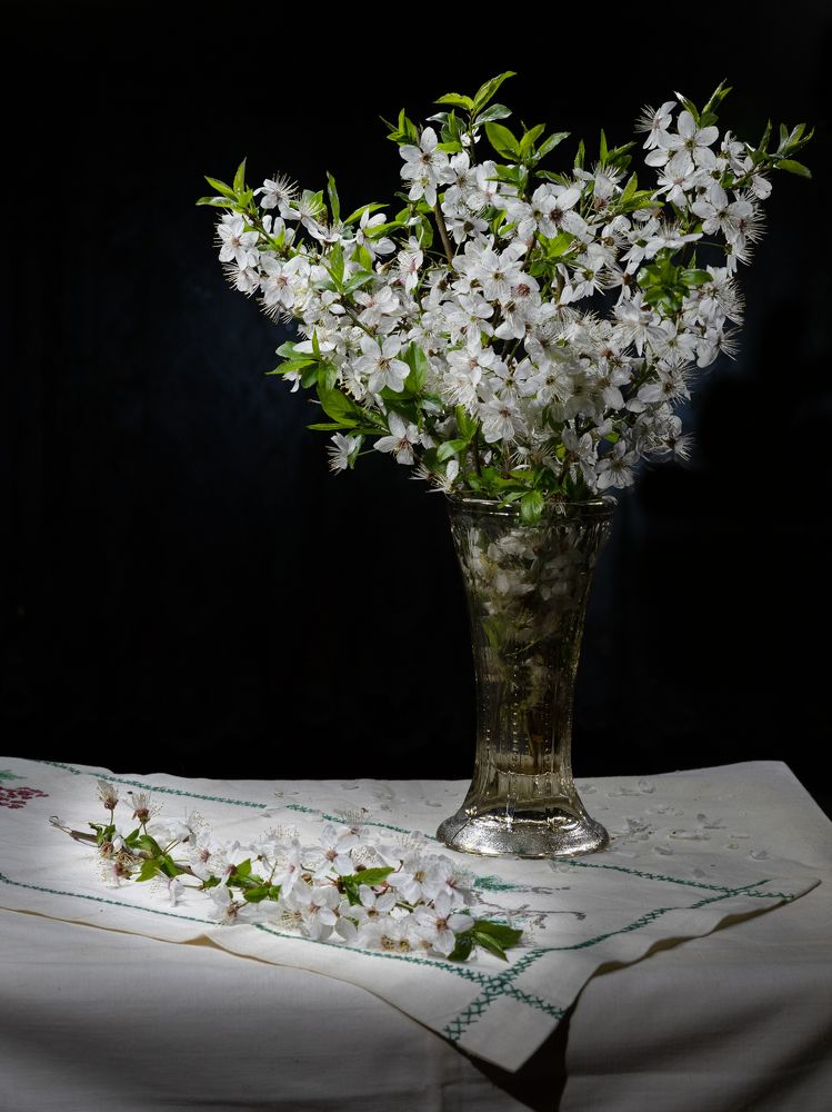 Photograph by Маргарита Ивкова