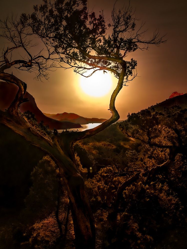 Белое солнце Крыма