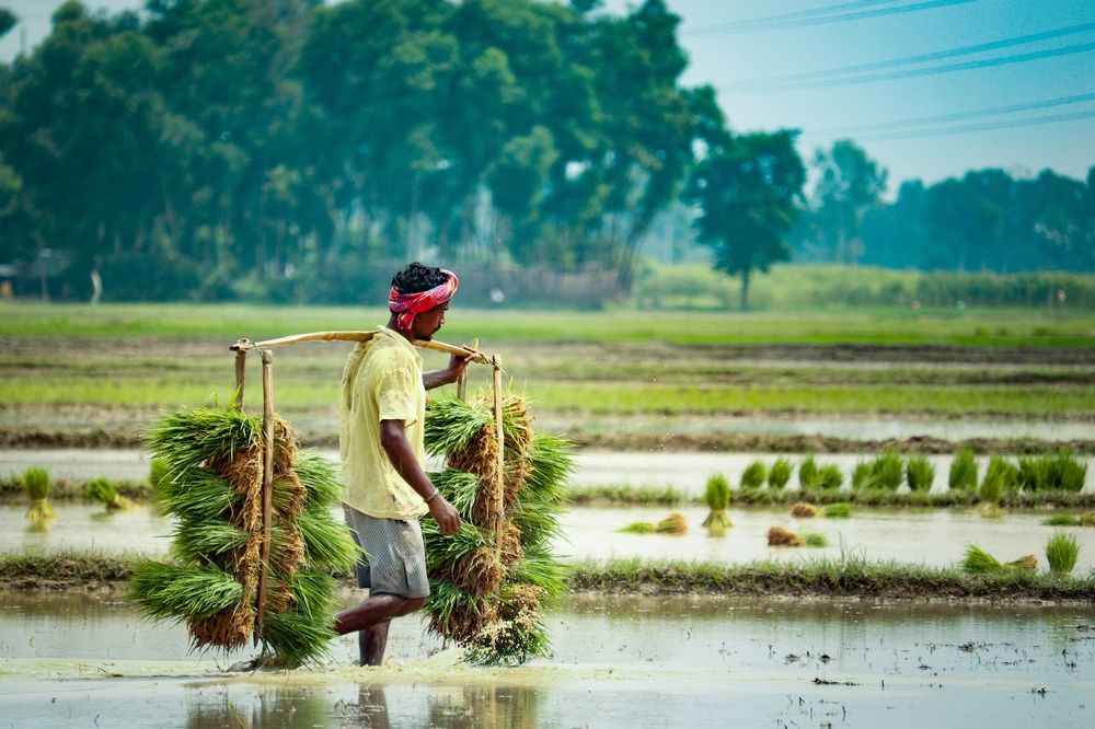 The Farmer on his role
