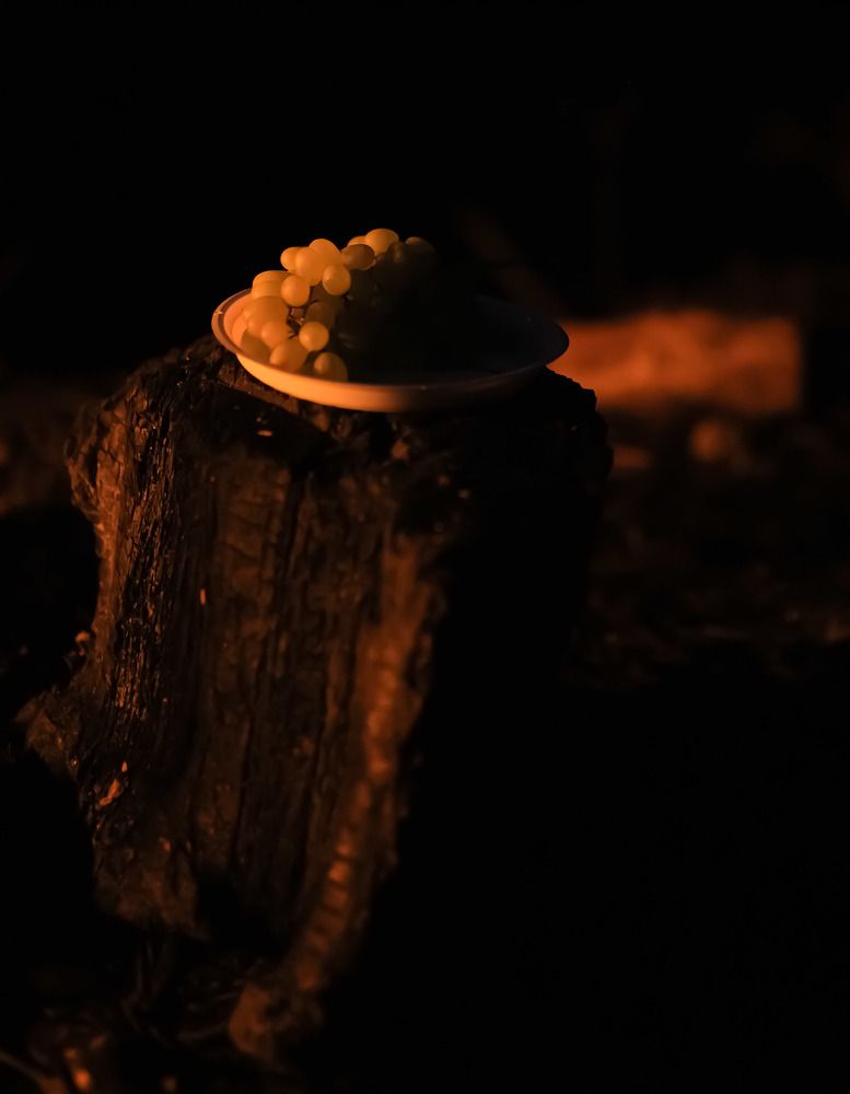 Photograph by Михаил Саидов