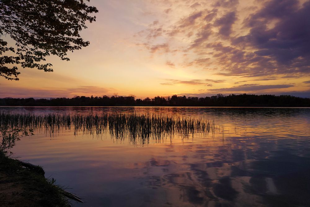 Photograph by AHMAD AL-HADDAD