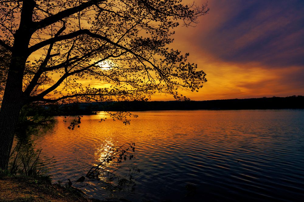 Photograph by AHMAD AL-HADDAD