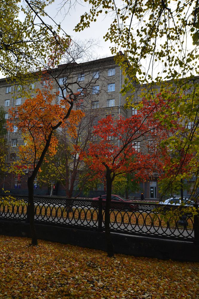 Photograph by Евгений Полторанин