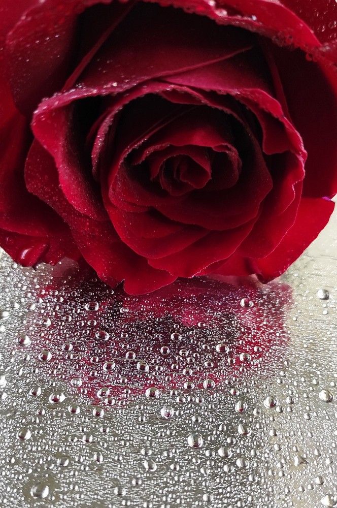 Photograph by Татьяна Фёдорова