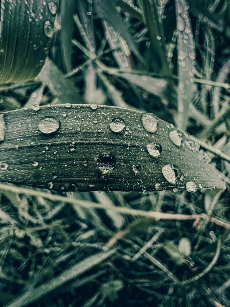 Photograph by Евгений Беляев