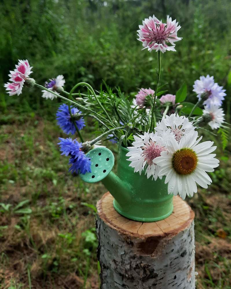 Photograph by Любовь Войтишина