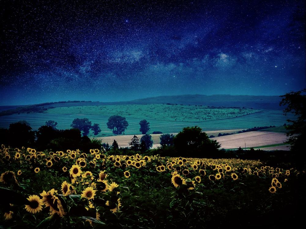 Photograph by Nikolett Mengyi