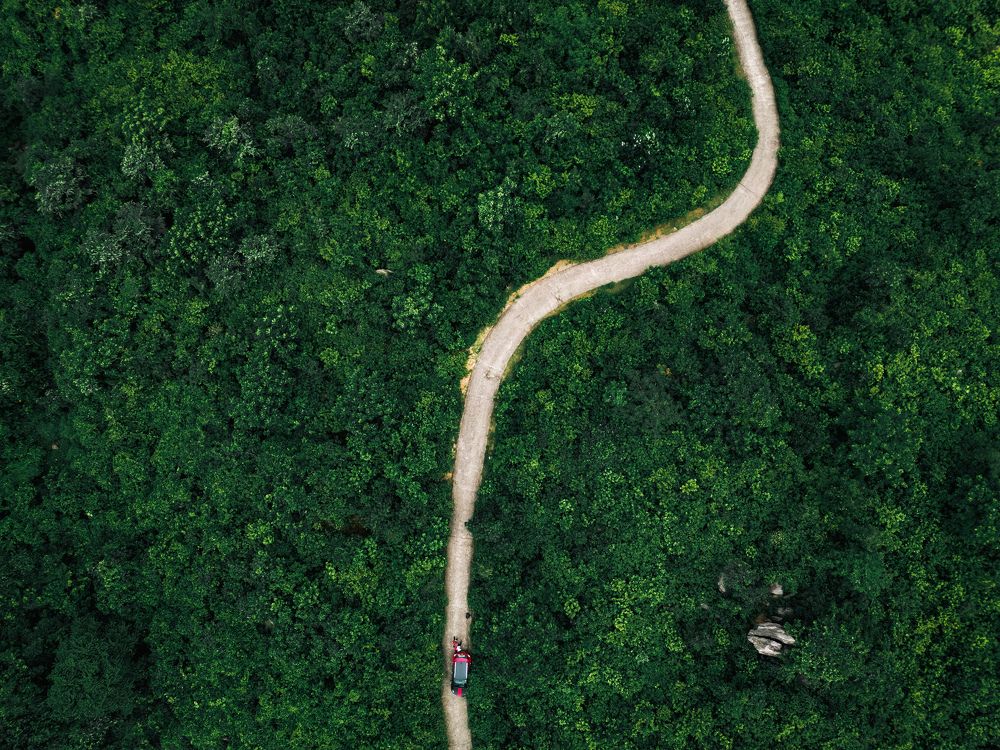 Photograph by Shounak Pal