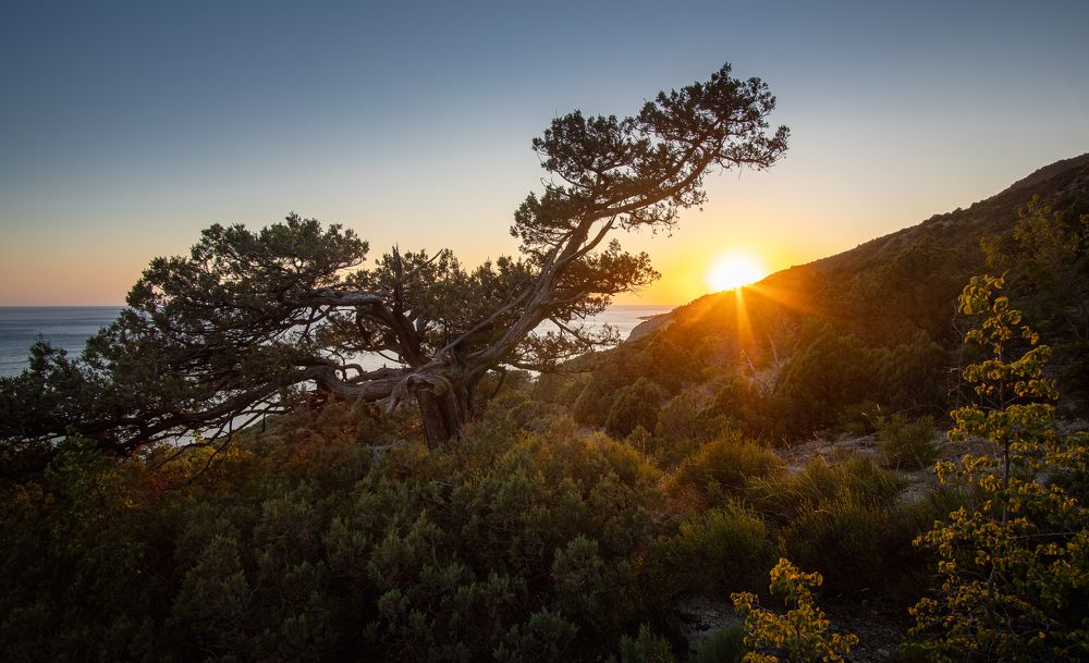 Солнечные лучи