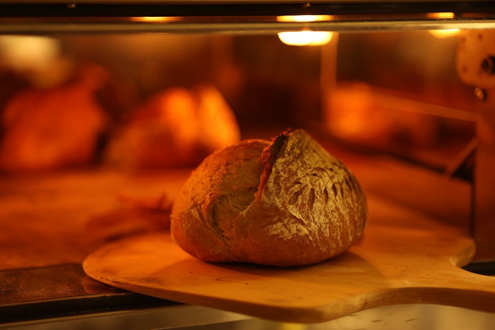 Photograph by Дарья Савиных