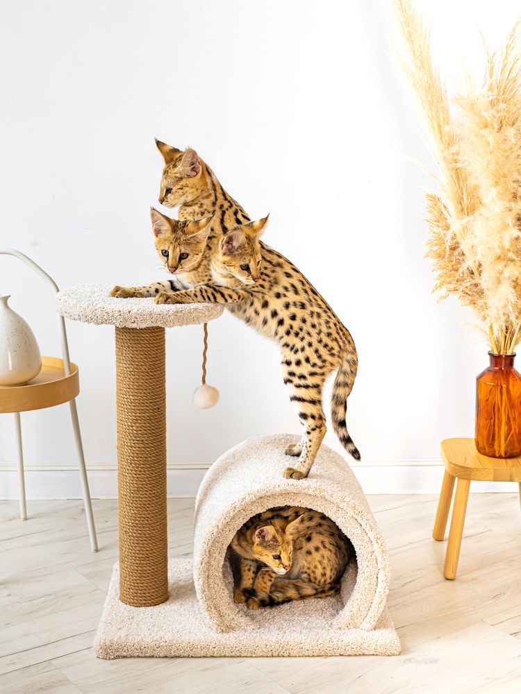 Photograph by Анатолий Павлович