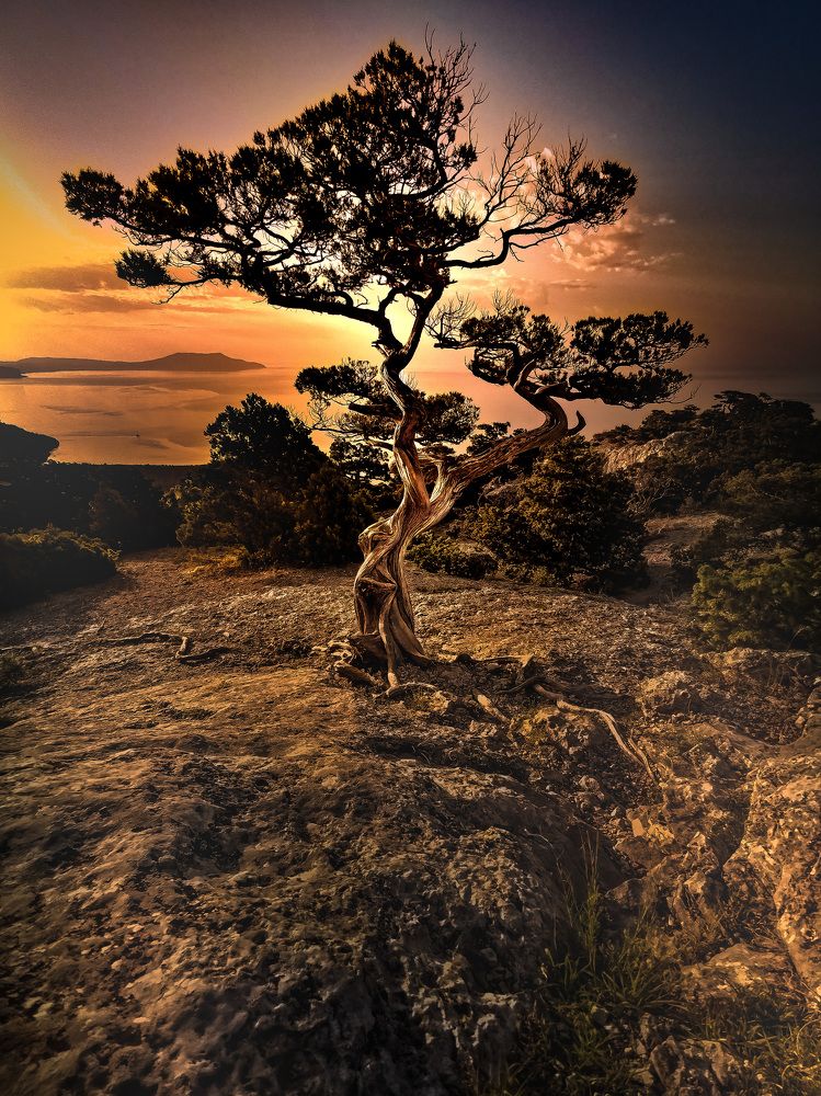 Просто Космос