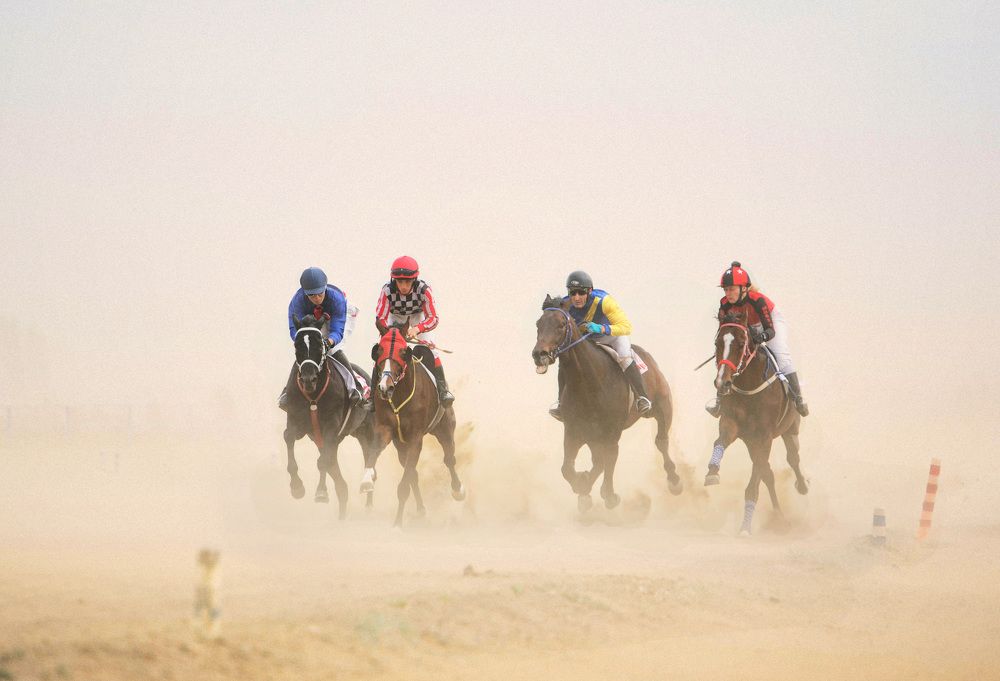 Photograph by Любовь Похабова