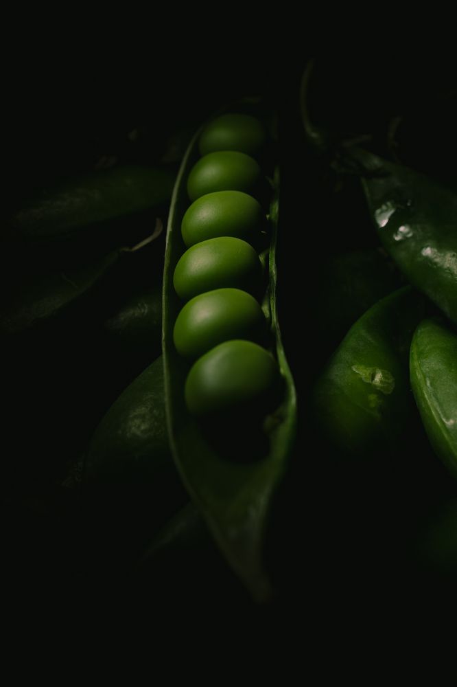 Photograph by Александр Поданев