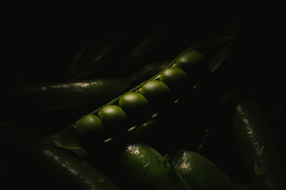 Photograph by Александр Поданев