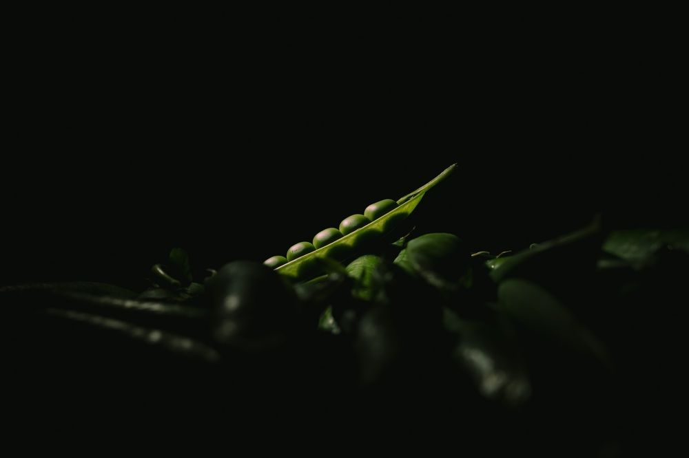 Photograph by Александр Поданев