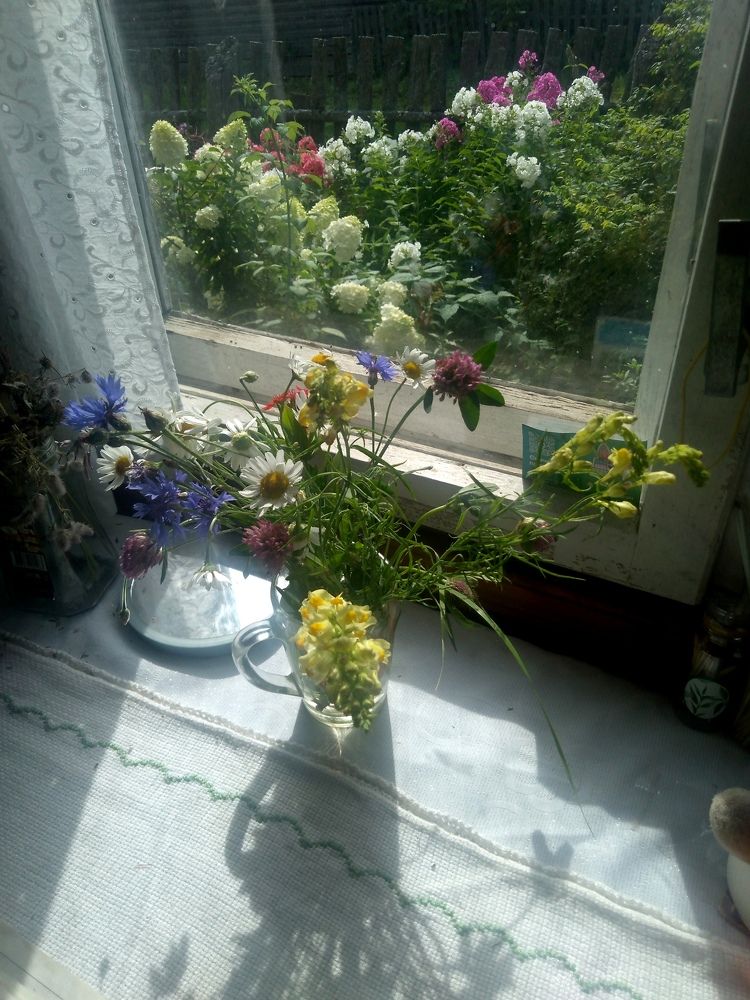 Фотография автора Елена Малкова