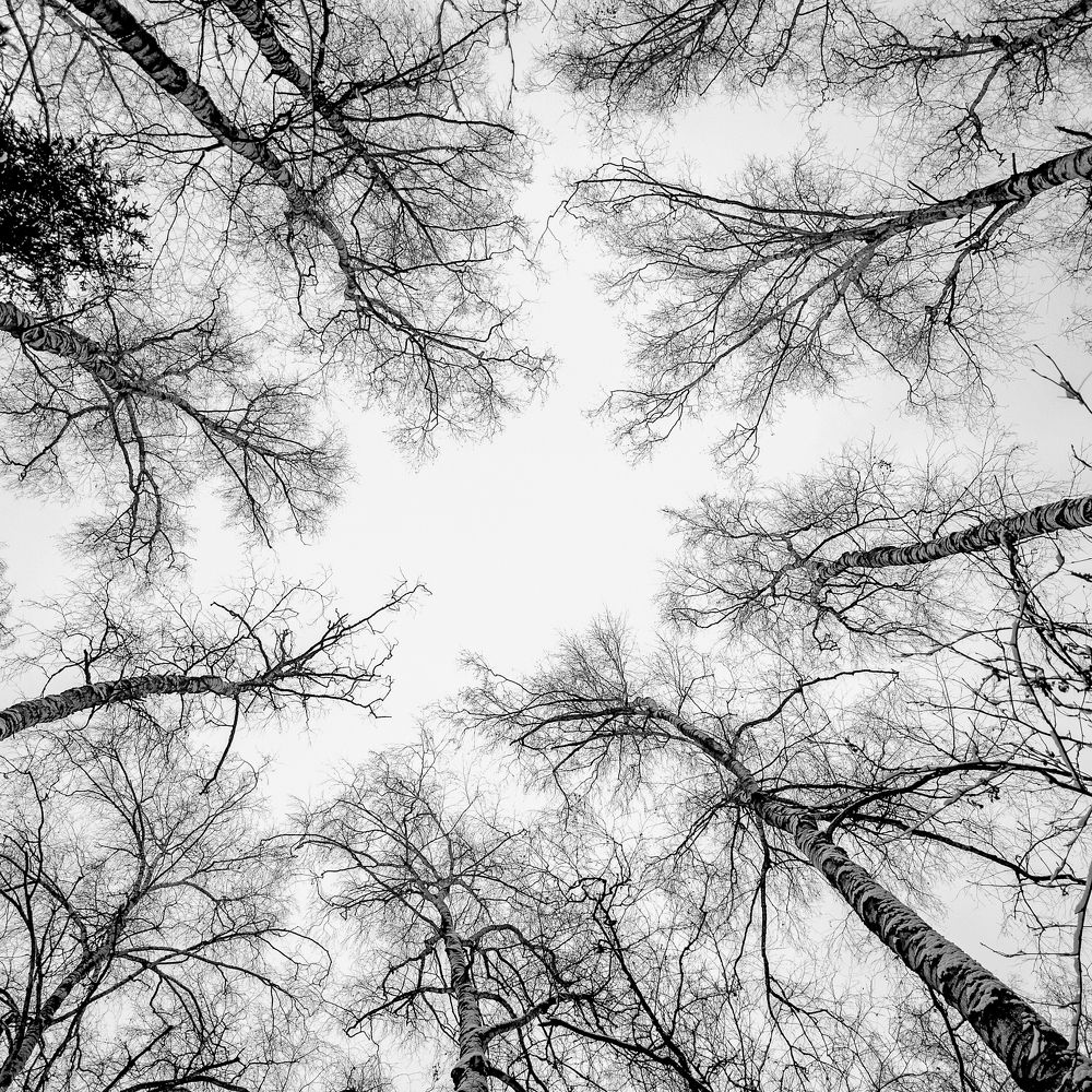 Photograph by Yuliya Pilipchuk