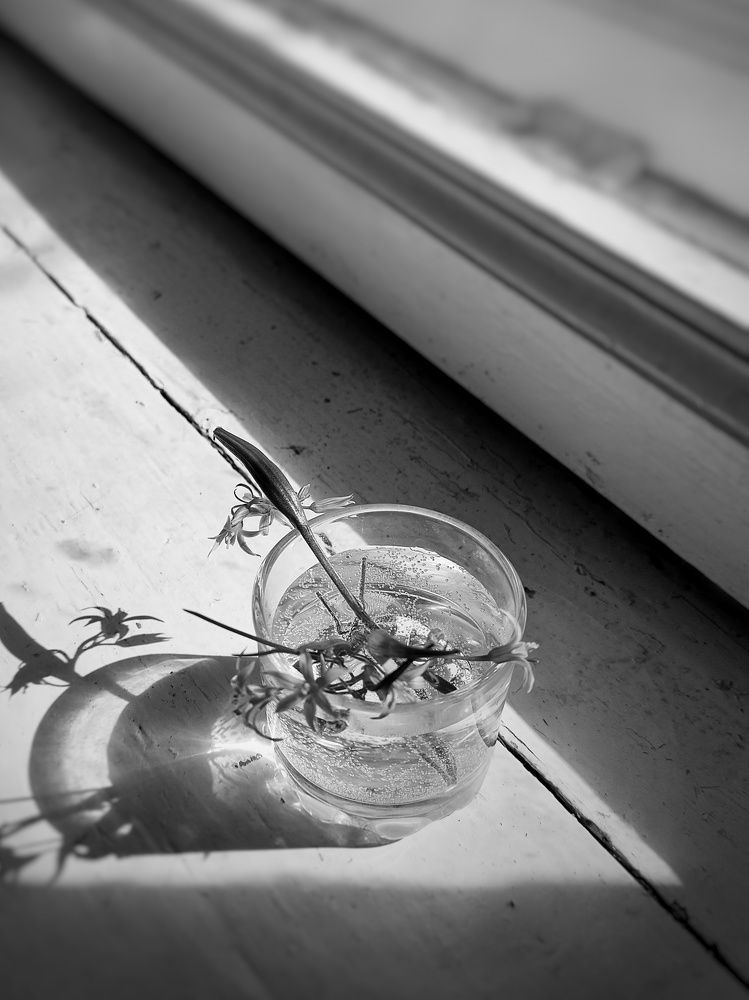 Photograph by Зульфия Вакилова