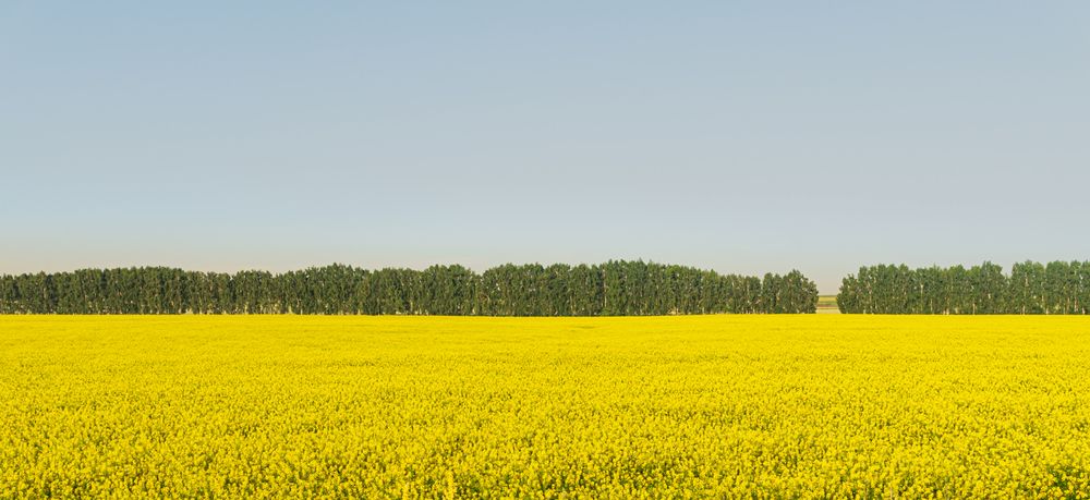 Photograph by Алина Еникеева