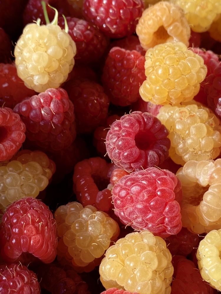 Photograph by Евгения Казакова