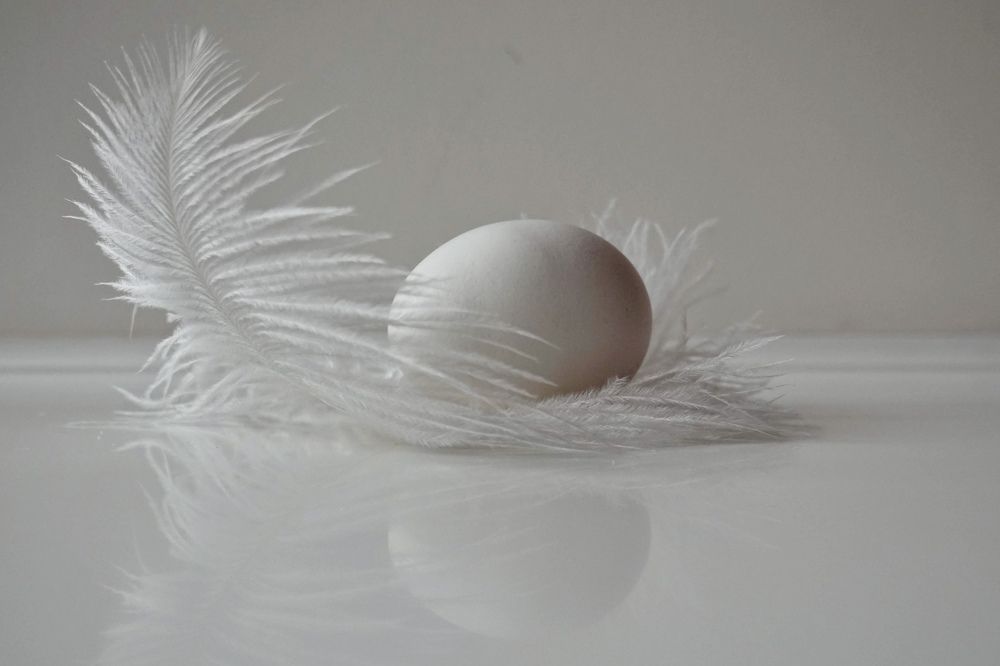 Photograph by Евгения Казакова