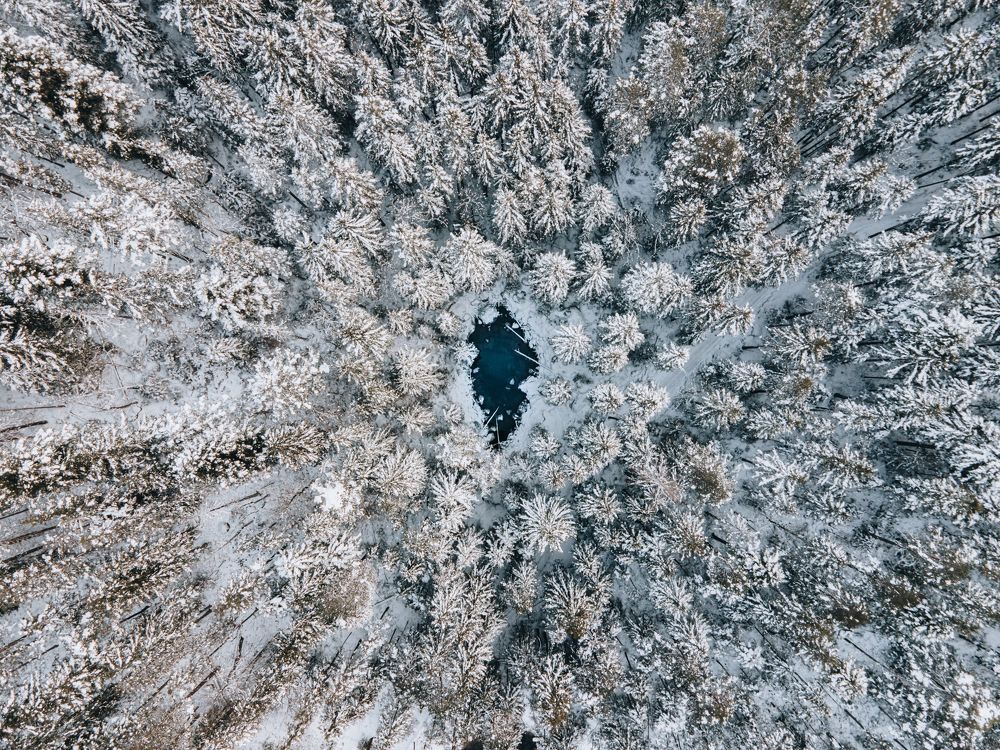 Фотография автора Kristijan Males