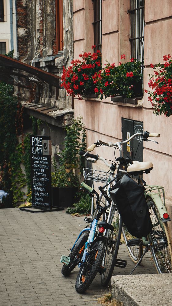 Photograph by Жорнова Светлана