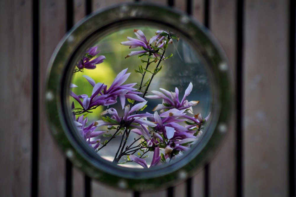 Photograph by Stoyan Baev