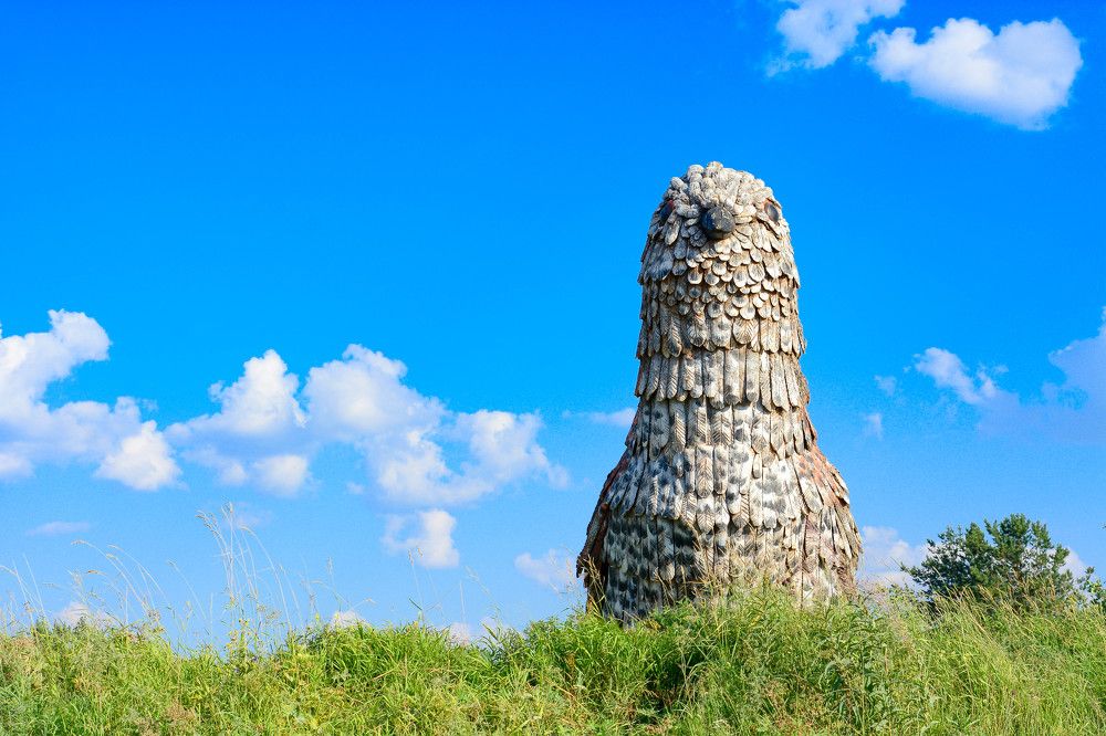 Photograph by Алексей Ильин