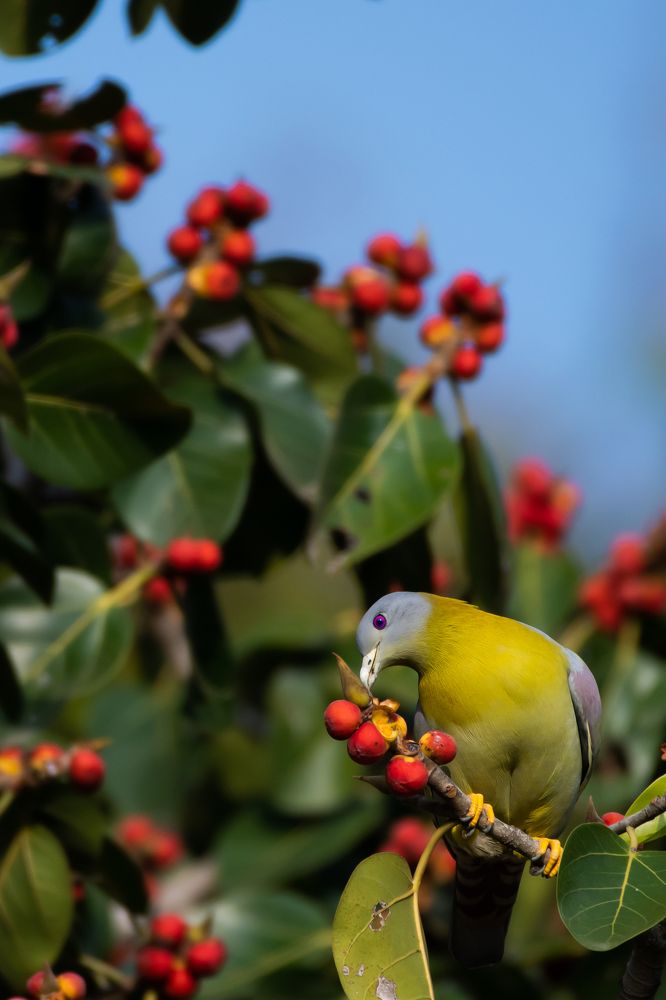 Photograph by Harsh Soni