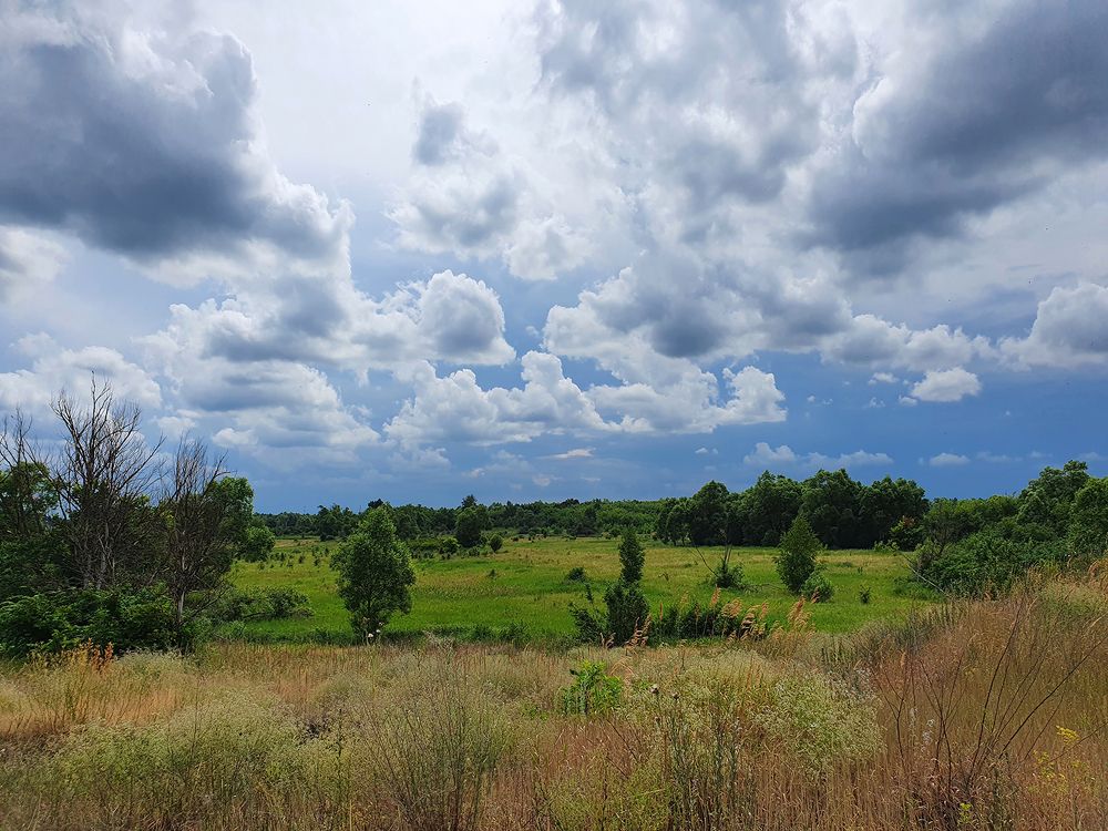 Фотография автора Надежда Лисицына