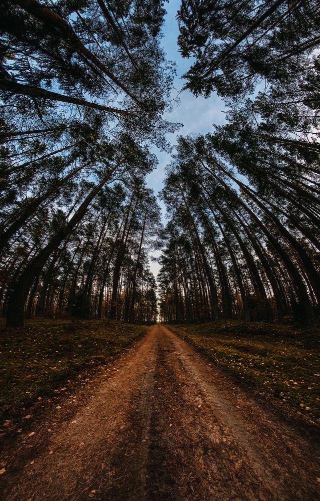 Обрати свой взор вверх