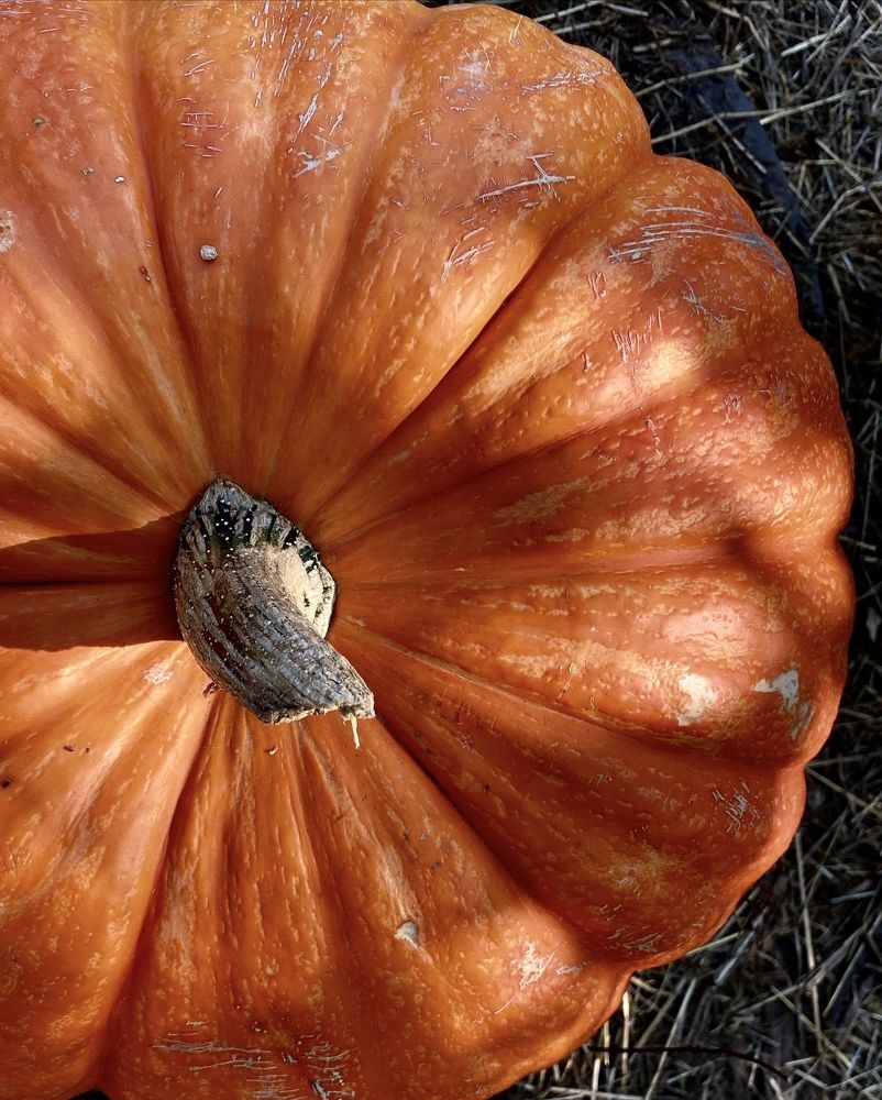 Photograph by Евгения Казакова