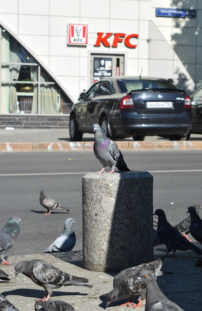 Photograph by Алена Менщикова