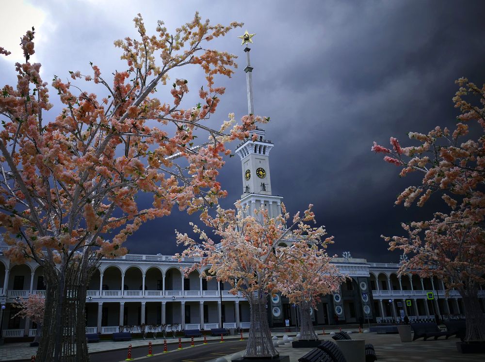 Photograph by Дмитрий Кравченко