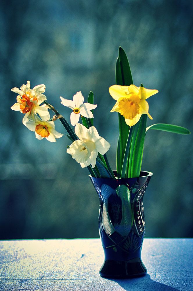 Photograph by Stoyan Baev