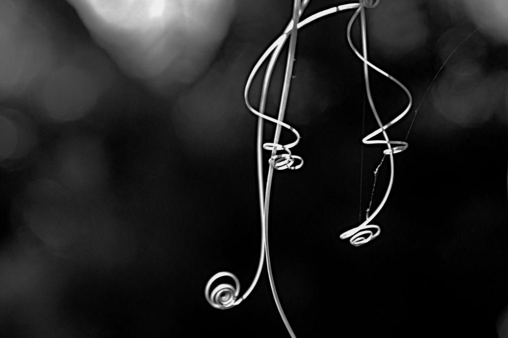 Photograph by Дмитрий Грысюк