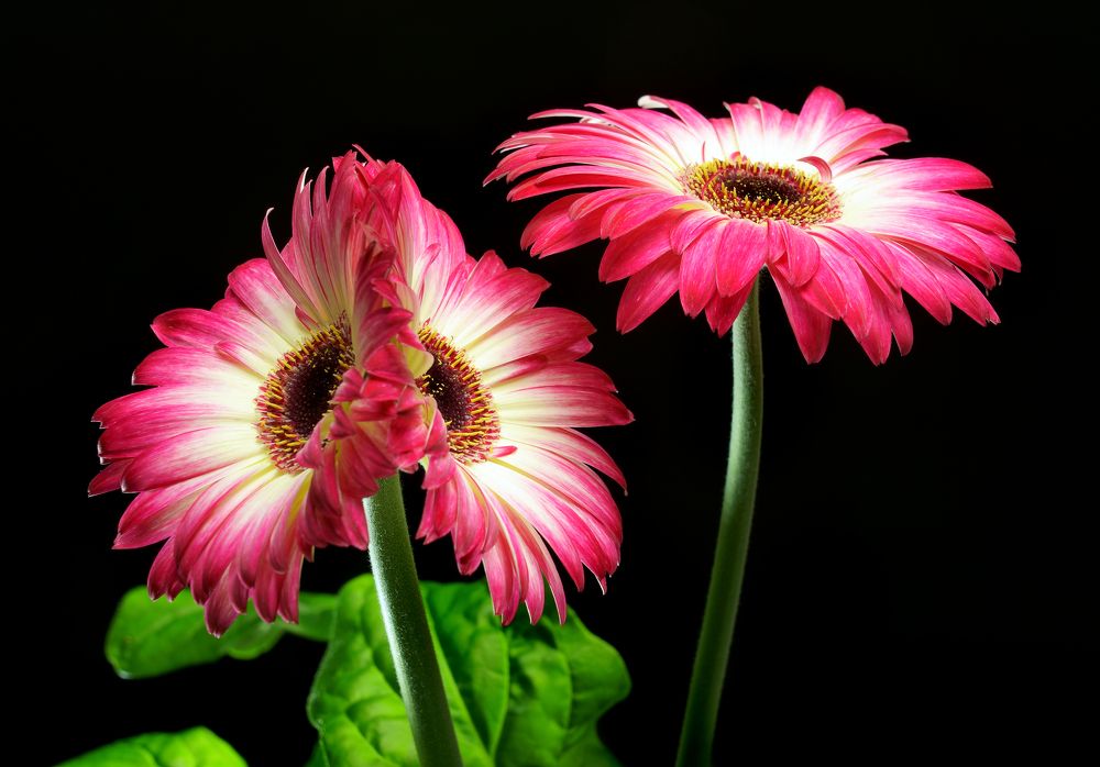 Photograph by Надежда Мытник