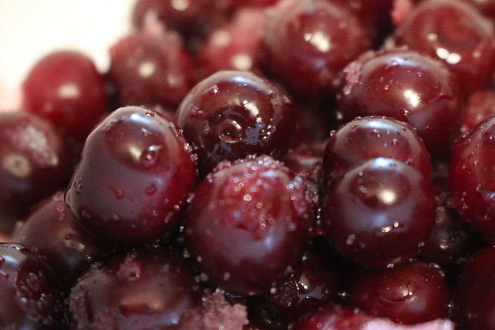 Photograph by Софья