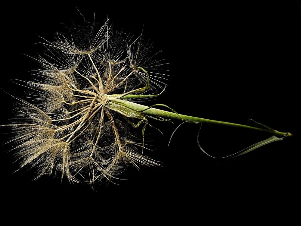 Photograph by Евгения Голубова