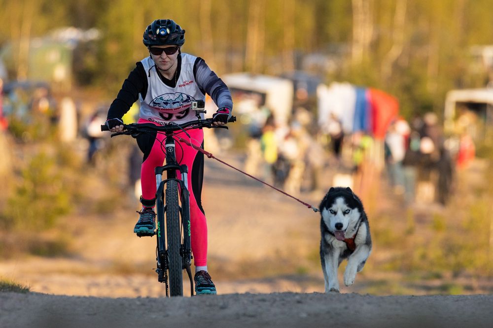 Photograph by Илья Юфа