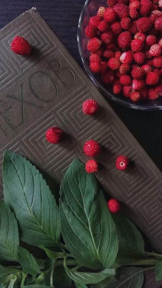 Photograph by Екатерина Чижевская