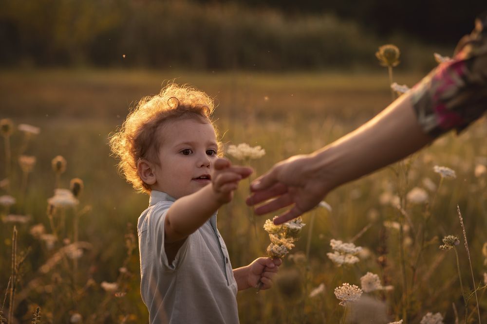 Photograph by Karine Sarkisian