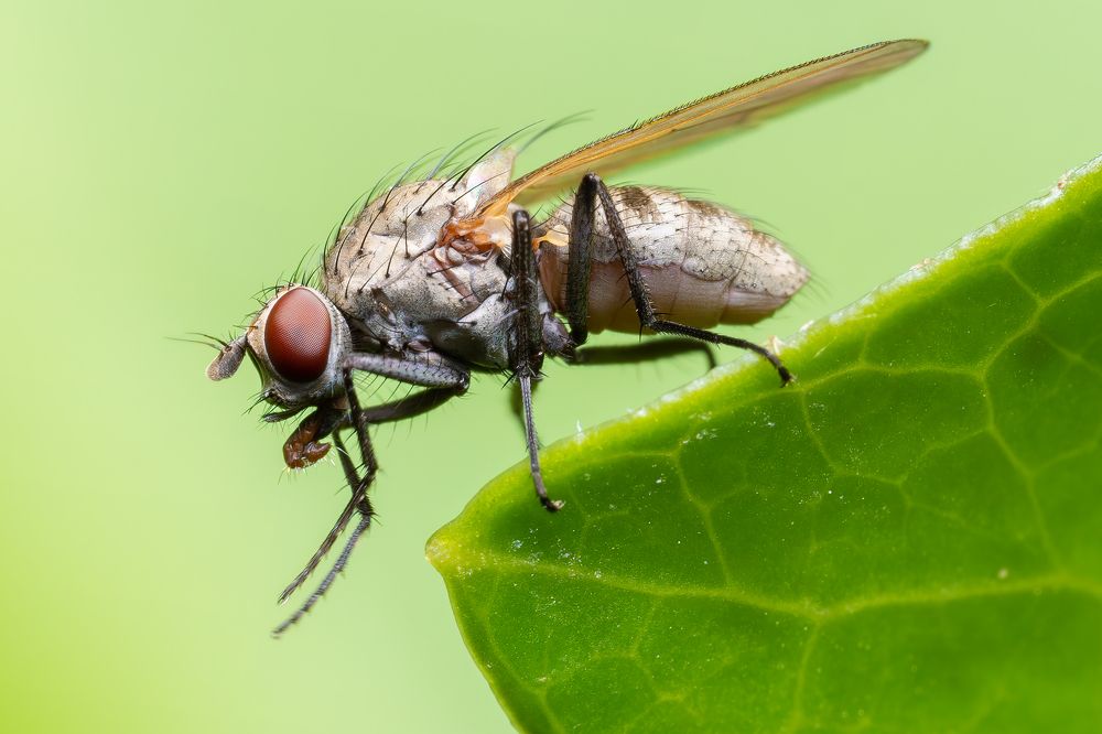 Photograph by Soheil Shahbazi