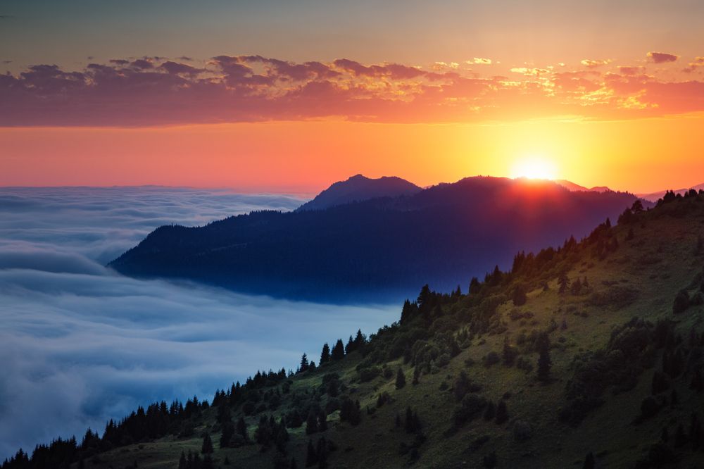 Photograph by Сергей Алимов