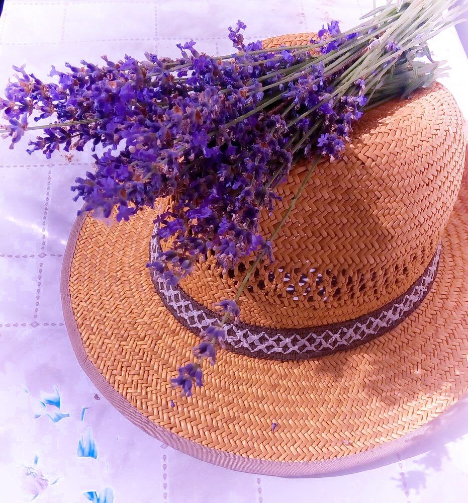 Photograph by Stoyan Baev