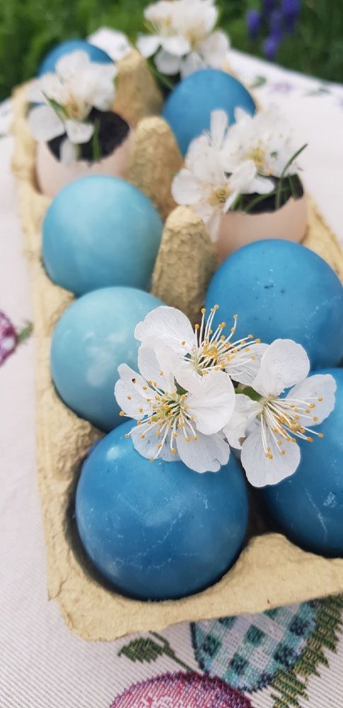 Фотография автора Ольга Мусина