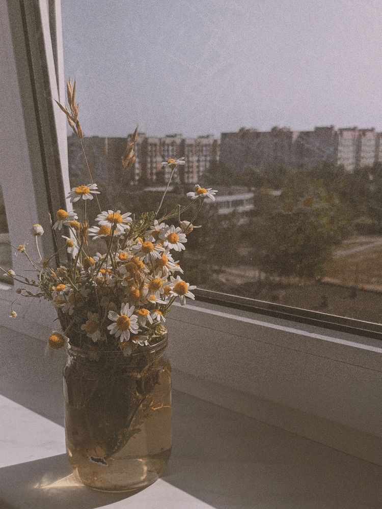 Фотография автора Kristina Nesteruk